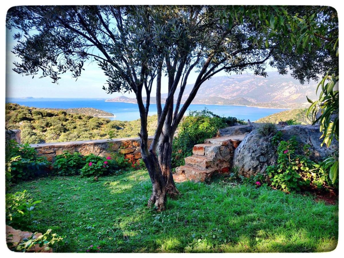 Olivia Homes Kaş Kültér fotó